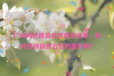 廣州網(wǎng)站建設(shè)優(yōu)質(zhì)商家名單，如何選擇最適合您的服務(wù)商？