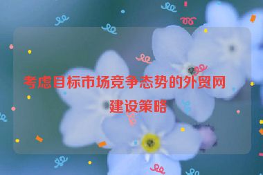 考慮目標(biāo)市場(chǎng)競(jìng)爭(zhēng)態(tài)勢(shì)的外貿(mào)網(wǎng)站建設(shè)策略