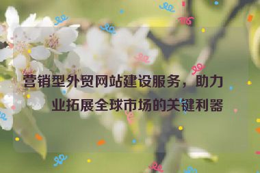 營(yíng)銷型外貿(mào)網(wǎng)站建設(shè)服務(wù)，助力企業(yè)拓展全球市場(chǎng)的關(guān)鍵利器