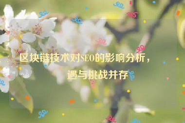 區(qū)塊鏈技術(shù)對(duì)SEO的影響分析，機(jī)遇與挑戰(zhàn)并存