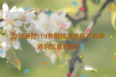 如何通過(guò)UTM參數(shù)精準(zhǔn)追蹤不同渠道的流量質(zhì)量？