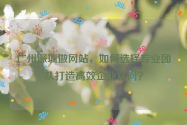 廣州深圳做網(wǎng)站，如何選擇專業(yè)團(tuán)隊(duì)打造高效企業(yè)官網(wǎng)？