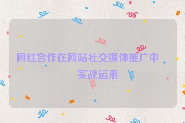 網(wǎng)紅合作在網(wǎng)站社交媒體推廣中的實戰(zhàn)運用