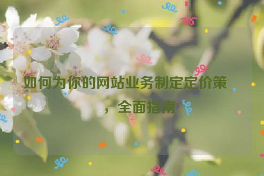 如何為你的網(wǎng)站業(yè)務(wù)制定定價(jià)策略，全面指南