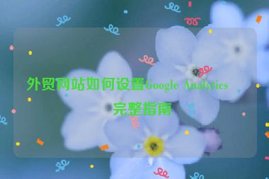 外貿(mào)網(wǎng)站如何設(shè)置Google Analytics，完整指南