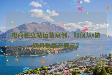 電商獨(dú)立站運(yùn)營(yíng)案例，如何從0做到月銷(xiāo)百萬(wàn)美元？