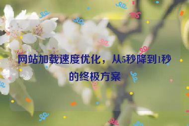 網(wǎng)站加載速度優(yōu)化，從5秒降到1秒的終極方案