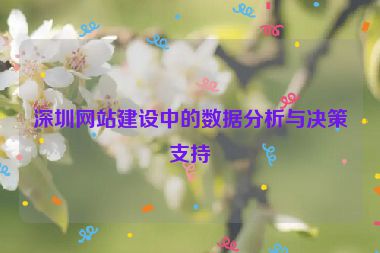 深圳網(wǎng)站建設中的數(shù)據(jù)分析與決策支持