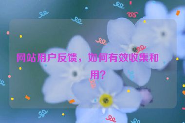 網(wǎng)站用戶反饋，如何有效收集和利用？