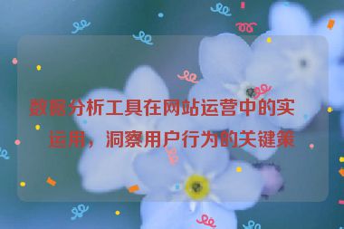 數(shù)據(jù)分析工具在網(wǎng)站運營中的實戰(zhàn)運用，洞察用戶行為的關(guān)鍵策略