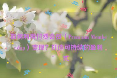 如何利用付費(fèi)會(huì)員（Premium Membership）變現(xiàn)？打造可持續(xù)的盈利模式