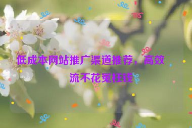 低成本網(wǎng)站推廣渠道推薦，高效引流不花冤枉錢
