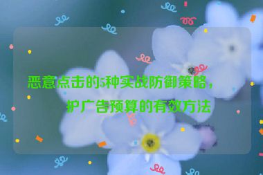 惡意點(diǎn)擊的5種實(shí)戰(zhàn)防御策略，保護(hù)廣告預(yù)算的有效方法