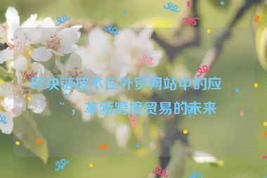 區(qū)塊鏈技術(shù)在外貿(mào)網(wǎng)站中的應(yīng)用，革新跨境貿(mào)易的未來