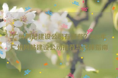 廣州網(wǎng)站建設(shè)公司有哪些？2023年廣州網(wǎng)站建設(shè)公司推薦與選擇指南