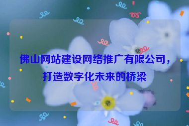 佛山網(wǎng)站建設(shè)網(wǎng)絡(luò)推廣有限公司，打造數(shù)字化未來的橋梁