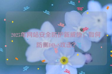 2025年網(wǎng)站安全防護(hù)新威脅，如何防御DDoS攻擊？