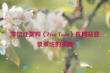 零信任架構（Zero Trust）在網(wǎng)站登錄系統(tǒng)的實踐