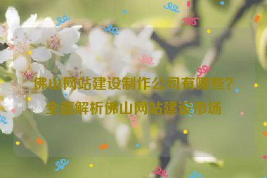 佛山網(wǎng)站建設(shè)制作公司有哪些？全面解析佛山網(wǎng)站建設(shè)市場