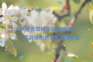 個(gè)人創(chuàng)業(yè)者如何玩轉(zhuǎn)網(wǎng)絡(luò)推廣？5個(gè)實(shí)戰(zhàn)案例教你低成本獲客