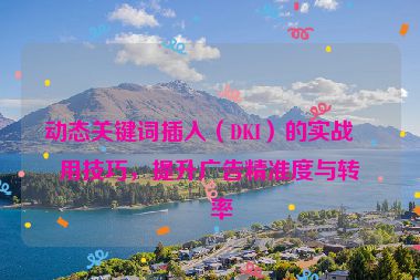 動態(tài)關(guān)鍵詞插入（DKI）的實戰(zhàn)應(yīng)用技巧，提升廣告精準(zhǔn)度與轉(zhuǎn)化率