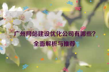 廣州網(wǎng)站建設(shè)優(yōu)化公司有哪些？全面解析與推薦