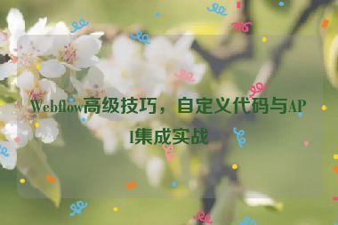 Webflow高級技巧，自定義代碼與API集成實戰(zhàn)