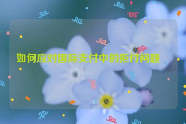 如何應(yīng)對國際支付中的拒付問題？