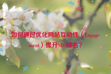 如何通過(guò)優(yōu)化網(wǎng)站互動(dòng)性（Engagement）提升SEO排名？