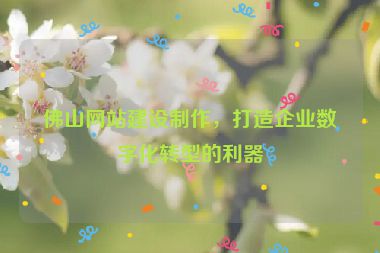 佛山網(wǎng)站建設(shè)制作，打造企業(yè)數(shù)字化轉(zhuǎn)型的利器