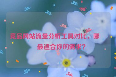 競品網(wǎng)站流量分析工具對比，哪款最適合你的需求？