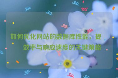 如何優(yōu)化網(wǎng)站的數(shù)據(jù)庫(kù)性能，提升效率與響應(yīng)速度的關(guān)鍵策略