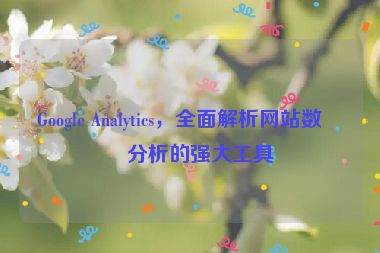 Google Analytics，全面解析網(wǎng)站數(shù)據(jù)分析的強(qiáng)大工具