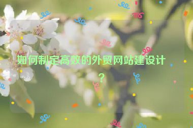 如何制定高效的外貿(mào)網(wǎng)站建設(shè)計劃？