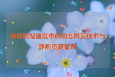 深圳網(wǎng)站建設(shè)中的動態(tài)網(wǎng)頁技術(shù)與靜態(tài)資源管理