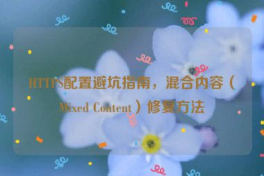 HTTPS配置避坑指南，混合內(nèi)容（Mixed Content）修復方法