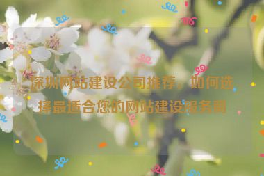 深圳網(wǎng)站建設(shè)公司推薦，如何選擇最適合您的網(wǎng)站建設(shè)服務(wù)商