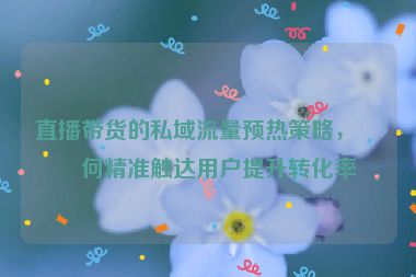 直播帶貨的私域流量預(yù)熱策略，如何精準(zhǔn)觸達(dá)用戶提升轉(zhuǎn)化率