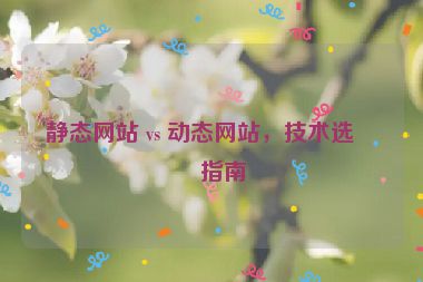 靜態(tài)網(wǎng)站 vs 動(dòng)態(tài)網(wǎng)站，技術(shù)選型指南