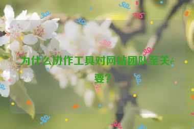 為什么協(xié)作工具對網(wǎng)站團隊至關(guān)重要？