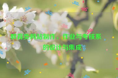 教育類網(wǎng)站制作，作業(yè)與考核系統(tǒng)的設(shè)計與集成