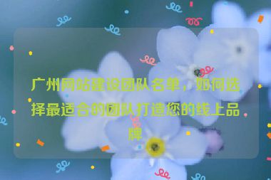 廣州網(wǎng)站建設(shè)團(tuán)隊名單，如何選擇最適合的團(tuán)隊打造您的線上品牌