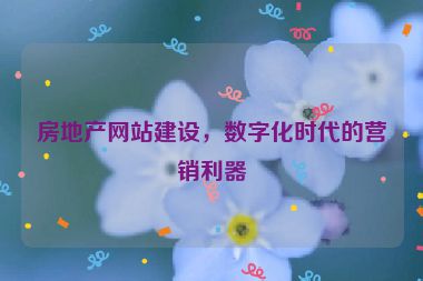房地產(chǎn)網(wǎng)站建設(shè)，數(shù)字化時(shí)代的營(yíng)銷利器