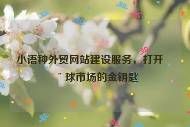 小語(yǔ)種外貿(mào)網(wǎng)站建設(shè)服務(wù)，打開(kāi)全球市場(chǎng)的金鑰匙