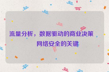 流量分析，數(shù)據(jù)驅(qū)動(dòng)的商業(yè)決策與網(wǎng)絡(luò)安全的關(guān)鍵