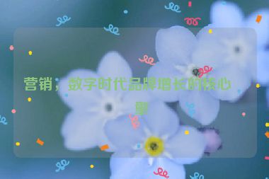 營(yíng)銷，數(shù)字時(shí)代品牌增長(zhǎng)的核心引擎