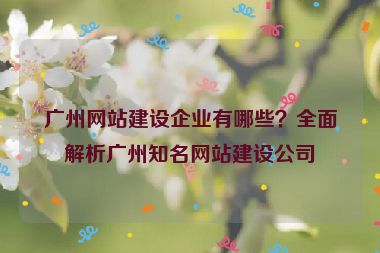 廣州網(wǎng)站建設企業(yè)有哪些？全面解析廣州知名網(wǎng)站建設公司