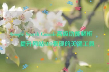 Google Search Console高級(jí)功能解析，提升網(wǎng)站SEO表現(xiàn)的關(guān)鍵工具