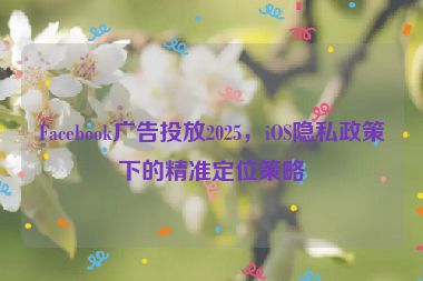 Facebook廣告投放2025，iOS隱私政策下的精準(zhǔn)定位策略