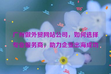 廣州做外貿(mào)網(wǎng)站公司，如何選擇專業(yè)服務商，助力企業(yè)出海成功
